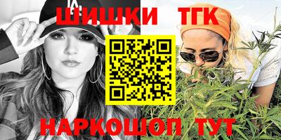 ECSTASY Камышлов