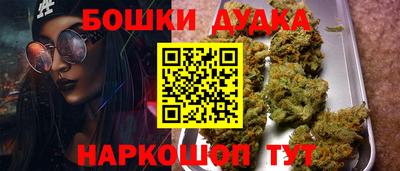 крисы Канаш