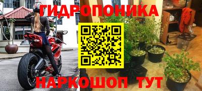 крисы Канаш