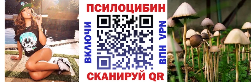 купить закладку  Михайловка  mega ТОР  Галлюциногенные грибы мицелий 
