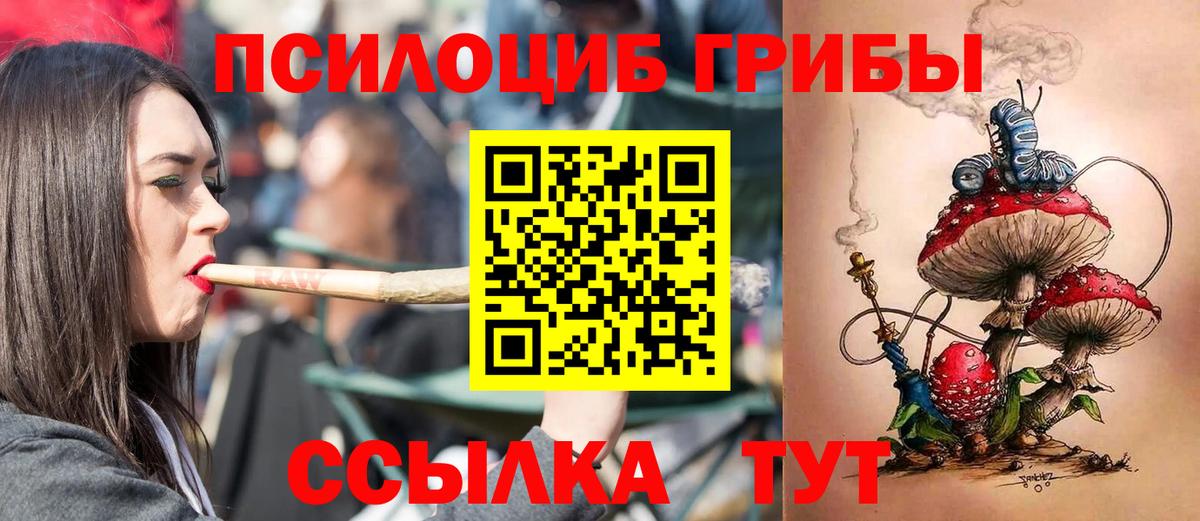 Галлюциногенные грибы Psilocybe  Вход с VPN  как найти   Михайловка  Псилоцибиновые грибы Cubensis 